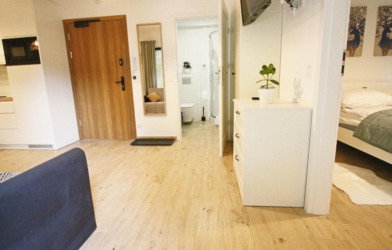 Apartment Bazatatry Kozica Zakopane Buitenkant foto